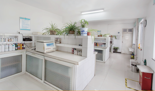 1623728902201408.png 廠區(qū)環(huán)境.png